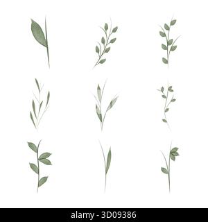 Una collezione di nove delicate illustrazioni ad acquerello con vari gambi e foglie di fiori. Questi vettori sono adatti per l'uso in infografiche sulla conservazione ambientale. Illustrazione Vettoriale