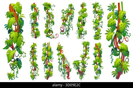 Foresta pluviale tropicale verticale, rami di vite liana, linee vettoriali, bordi e divisori. Liane della giungla cartoni animati con alberi tropicali foglie verdi, piante del superpente rami e viti Illustrazione Vettoriale