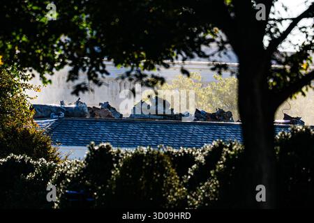 Washington, Stati Uniti. 22 ottobre 2025. Gli equipaggi demoliscono parte dell'ala est della Casa Bianca mentre la costruzione continua nella sala da ballo della Casa Bianca del presidente Trump, a Washington DC, mercoledì 22 ottobre 2025. Foto di Aaron Schwartz/UPI credito: UPI/Alamy Live News Foto Stock