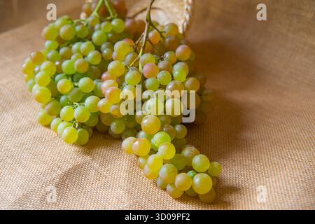 Grappoli di uva da Vinalopo. Alicante, Spagna. Foto Stock