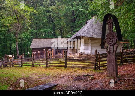 Romania, regione di Muntenia, Sibiu, complesso del Museo Nazionale DI ASTRA, etnomuseo all'aperto nell'area forestale protetta di Dumbrava Sibiului, l'etnomuseo più importante della Romania e il più grande museo all'aperto in Europa, case tradizionali Foto Stock