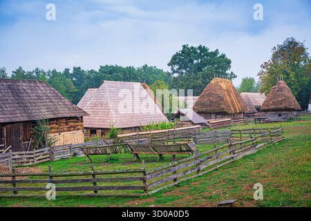 Romania, regione di Muntenia, Sibiu, complesso del Museo Nazionale DI ASTRA, etnomuseo all'aperto nell'area forestale protetta di Dumbrava Sibiului, l'etnomuseo più importante della Romania e il più grande museo all'aperto in Europa, case tradizionali Foto Stock