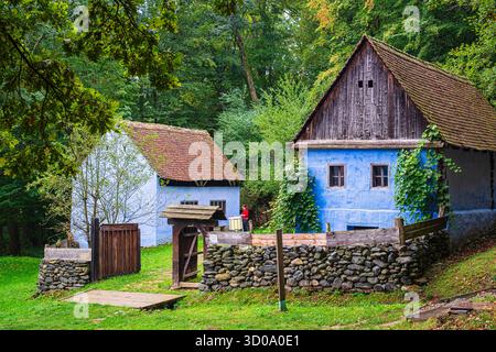 Romania, regione di Muntenia, Sibiu, complesso del Museo Nazionale DI ASTRA, etnomuseo all'aperto nell'area forestale protetta di Dumbrava Sibiului, l'etnomuseo più importante della Romania e il più grande museo all'aperto in Europa, case tradizionali Foto Stock