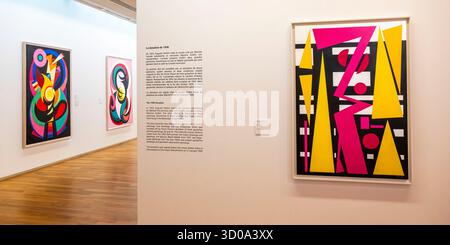 Francia, Nord, le Cateau-Cambrésis, il Museo Henri Matisse di Cateau-Cambrésis ospita anche opere di Auguste Herbin, Pablo Picasso, Marc Chagall, Joan Miró, Georges Rouault, Fernand Léger e Alberto Giacometti. Foto Stock