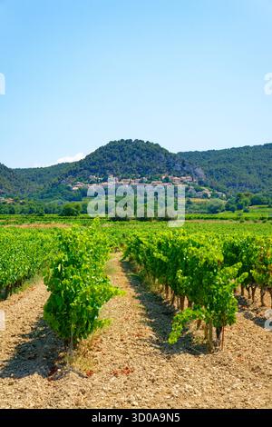 Francia, Vaucluse, Pays des Dentelles de Montmirail distretto, il borgo medievale di Seguret, etichettato Les Plus Beaux Villages de France (i più bei villaggi di Francia) Foto Stock