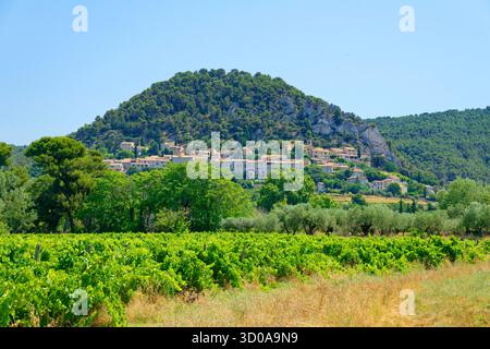 Francia, Vaucluse, Pays des Dentelles de Montmirail distretto, il borgo medievale di Seguret, etichettato Les Plus Beaux Villages de France (i più bei villaggi di Francia) Foto Stock