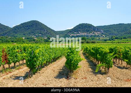 Francia, Vaucluse, Pays des Dentelles de Montmirail distretto, il borgo medievale di Seguret, etichettato Les Plus Beaux Villages de France (i più bei villaggi di Francia) Foto Stock