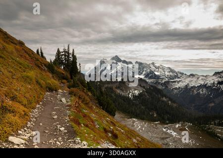 WA28632-00...WASHINGTON - colori autunnali lungo il sentiero per Ptarmigan Ridge nella Mount Baker Wilderness area. Foto Stock