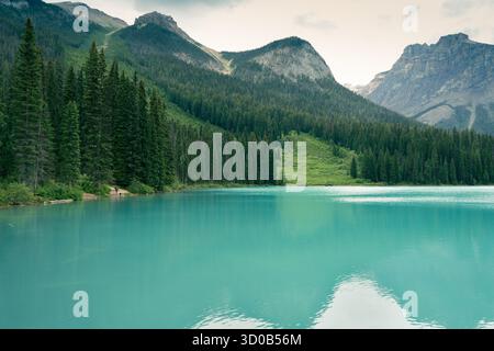Lago turchese circondato da montagne e foreste in una giornata nuvolosa. Emerald Lake, British Columbia Foto Stock