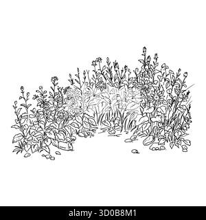 Boschetti di erba e siepi di rami, foglie e fiori, schizzo. Illustrazione vettoriale. Lussureggianti cespugli da giardino, isolati su sfondo bianco. Per postca Illustrazione Vettoriale