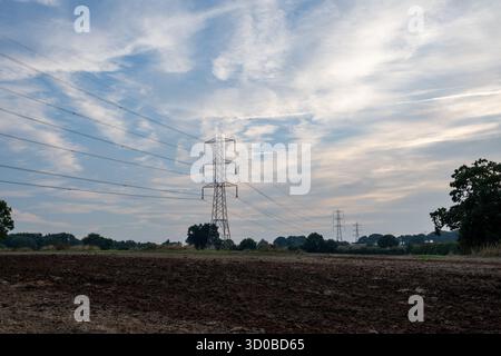 Un campo con una torre di linea elettrica sullo sfondo. Il cielo è nuvoloso e il sole non è visibile Foto Stock