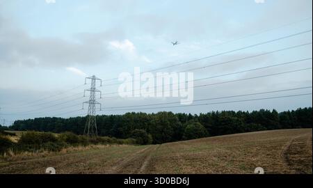 Una torre di linea elettrica è vista in lontananza con uno stormo di uccelli che volano nel cielo. Concetto di tranquillità e serenità, mentre gli uccelli sorvolano il Foto Stock