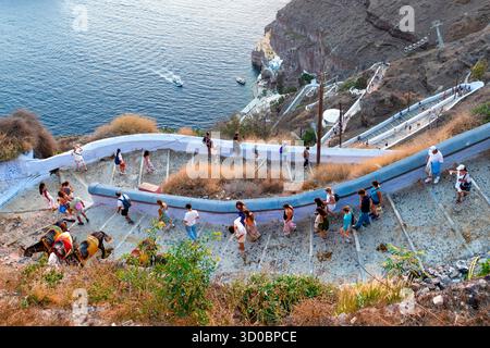 Fira, Santorini, Grecia - 24 agosto 2025: Giro di asino di Santorini sul sentiero ripido. I turisti fanno un giro in mulo lungo la scogliera di Santorini Foto Stock