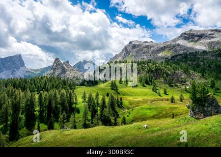 Paesaggio estivo delle Dolomiti italiane con torreggianti cime rocciose, prati verdi e boschi, sul sentiero delle cinque Torri. Alto Adige, Italia Foto Stock
