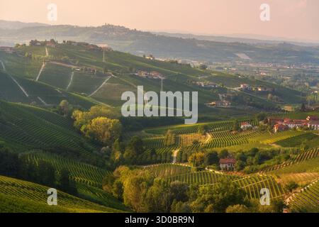 Vista panoramica sulle dolci colline di vigneti delle Langhe, Piemonte, Italia, vicino a Barbaresco e Neive, con uno storico villaggio collinare nel Foto Stock
