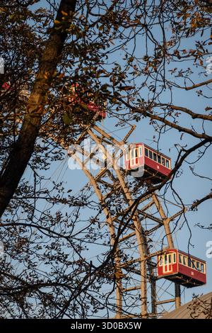 Vista ravvicinata della Wiener Riesenrad (ruota panoramica gigante a Vienna) tra i rami d'albero simili all'autunno Foto Stock