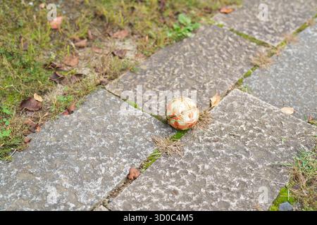 Una piccola palla arancione è seduta su un marciapiede in mattoni. Il marciapiede è ricoperto di foglie e erba, conferendogli un aspetto un po' disordinato. La palla è Th Foto Stock