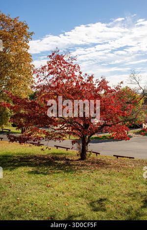 Staunton, Virginia, fine settimana in autunno Foto Stock