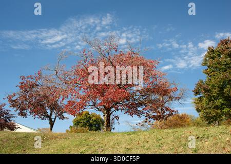 Staunton, Virginia, fine settimana in autunno Foto Stock