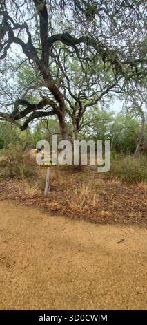 Percorso naturalistico circondato da alberi verdi vicino al pozzo di Jacob Foto Stock