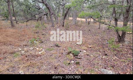 Percorso naturalistico circondato da alberi verdi vicino al pozzo di Jacob Foto Stock