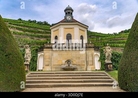 Belvedere e vigneto dell'azienda vinicola statale sassone Schloss Wackerbarth o Wackerbarths Ruh&#39; a Niederlößnitz, Radebeul, Sassonia, Germania Foto Stock