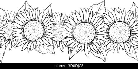 Linea d'inchiostro senza cuciture disegnata a mano con fiori di girasoli, petali rustici e tema del giardino botanico. Illustrazione floreale dettagliata per l'imballaggio Illustrazione Vettoriale