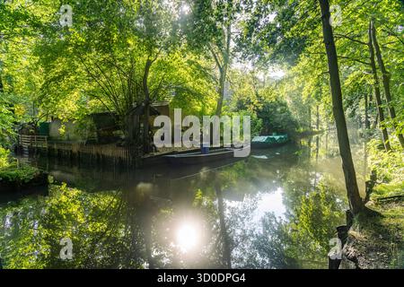 Canal o Spreewaldfließ nella Spreewald vicino al villaggio Spreewald di Lehde, Lübbenau / Spreewald, Brandeburgo, Germania Foto Stock