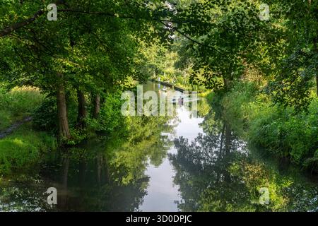 Canal o Spreewaldfließ nella Spreewald vicino al villaggio Spreewald di Lehde, Lübbenau / Spreewald, Brandeburgo, Germania Foto Stock