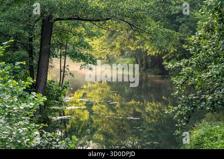 Canal o Spreewaldfließ nella Spreewald vicino a Burg, Brandeburgo, Germania Foto Stock