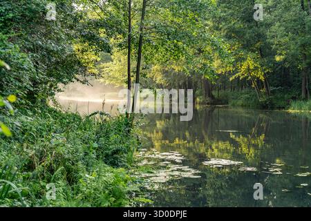 Canal o Spreewaldfließ nella Spreewald vicino a Burg, Brandeburgo, Germania Foto Stock