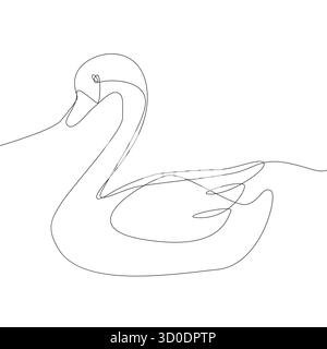 Elegante uccello cigno. Disegno a linea continua. Aggraziato pollo d'acqua. Illustrazione dell'animale vettoriale. Illustrazione Vettoriale