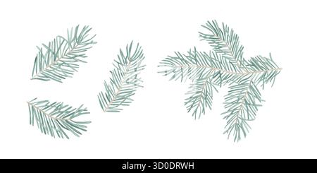 Set di 4 Fir, rami di conifere illustrazione acquerello. Elemento realistico in abete verde disegnato a mano. Nuova festa per le vacanze nell'Evergreen Tree Foto Stock