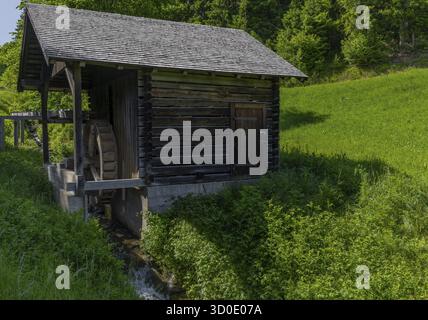 Paesaggio, Vecchio mulino, ruota idraulica, Goldegg, Salisburgo Foto Stock
