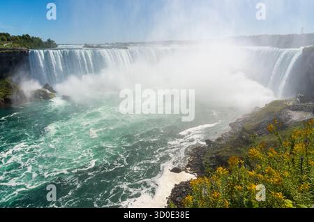 Le Horseshoe Falls lanciano una fitta nebbia sull'acqua turchese, incorniciati da fiori selvatici gialli su una sporgenza rocciosa scura alle cascate del Niagara, Ontario, Canada. Foto Stock