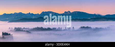 Vista panoramica ultra-ampia di XPan sull'alba serena sulla regione di Allgäu in Baviera, Germania. La nebbia mattutina si allontana dolcemente attraverso la valle mentre il Foto Stock