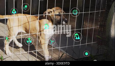 Cane abbronzato che sbircia attraverso la recinzione metallica sul pavimento piastrellato del canile, con icone ecologiche Foto Stock