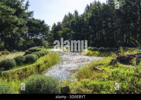 Area guksawon con giardino di Semiwon con un piccolo laghetto. Presa a Yangpyeong, Corea del Sud Foto Stock