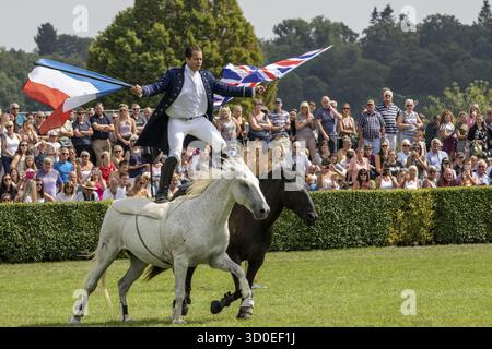 Harrogate, North Yorkshire, Regno Unito - Luglio 12th, 2018: francese allenatore di cavalli Lorenzo eseguendo con i suoi cavalli al grande Yorkshire Visualizza il 12 luglio 201 Foto Stock