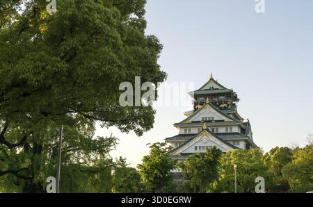Il castello di Osaka, uno dei monumenti più famosi del giappone, visto nel tardo pomeriggio durante l'orario del tramonto. Preso a Osaka, Giappone Foto Stock