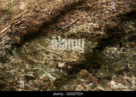 Landschaft bei Chamonix-Mont-Blanc Foto Stock