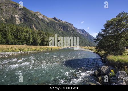 Mackay creek si trova sulla strada per milford, con vista estiva e il torrente che scorre attraverso le montagne Foto Stock