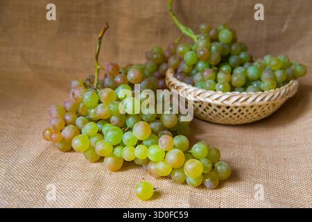 Grappoli di uva da Vinalopo. Alicante, Spagna. Foto Stock