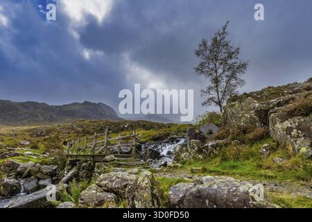 Ponte in legno che conduce al Parco Nazionale Snowdonia della montagna, Galles del Nord, Regno Unito Foto Stock