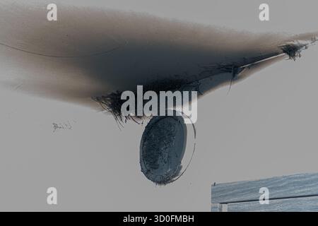 Lampada LED bruciata. Una lampada a paralume sulla parete dopo un incendio. Combustione spontanea e incendio in un edificio residenziale. Al chiuso Foto Stock