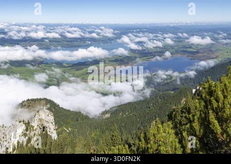 Panorama da Tegelberg, 1881 m, su Forggensee e Bannwaldsee, Ostallgaeu, Baviera, Germania Foto Stock