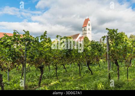 Chiesa di San Giovanni Battista e vigneti a Hagnau am Bodensee, Baden-Wuerttemberg, Germania Foto Stock