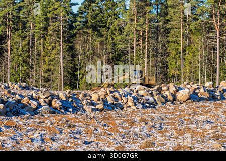 Escavatore in un cantiere con massi ai margini della foresta Foto Stock