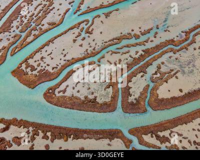 Veduta aerea dei tortuosi corsi d'acqua che si snodano attraverso il paesaggio, creando un ipnotico arazzo di turchese e marrone terroso, Salonicco, Salonicco, Grecia. Foto Stock