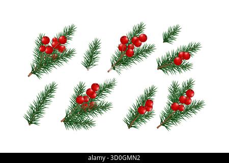 Set di realistici rami di pino e bacche rosse Illustrazione Vettoriale